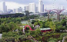 Beautiful gardens in Singapore